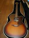 TAKAMINE TDP012.jpg
